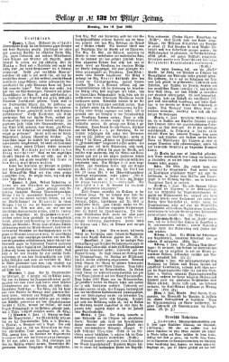 Pfälzer Zeitung Sonntag 10. Juni 1866