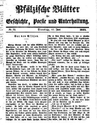 Pfälzische Blätter für Geschichte, Poesie und Unterhaltung (Zweibrücker Wochenblatt) Dienstag 13. Juni 1854