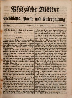 Pfälzische Blätter für Geschichte, Poesie und Unterhaltung (Zweibrücker Wochenblatt) Dienstag 3. Juni 1856