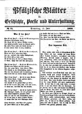 Pfälzische Blätter für Geschichte, Poesie und Unterhaltung (Zweibrücker Wochenblatt) Sonntag 13. Juni 1858