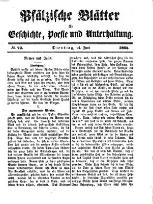 Pfälzische Blätter für Geschichte, Poesie und Unterhaltung (Zweibrücker Wochenblatt) Dienstag 14. Juni 1864