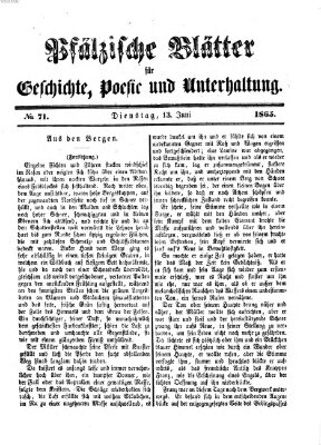 Pfälzische Blätter für Geschichte, Poesie und Unterhaltung (Zweibrücker Wochenblatt) Dienstag 13. Juni 1865