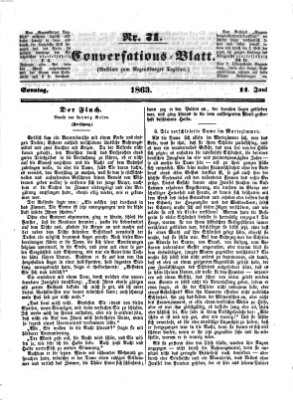 Regensburger Conversations-Blatt (Regensburger Tagblatt) Sonntag 14. Juni 1863