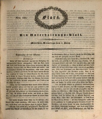 Flora (Baierische National-Zeitung) Dienstag 17. Juni 1828