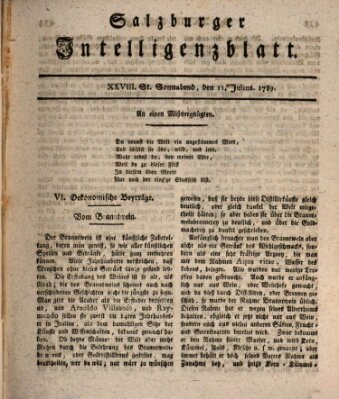 Salzburger Intelligenzblatt Samstag 11. Juli 1789