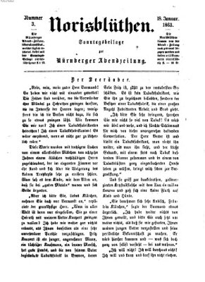 Norisblüthen (Nürnberger Abendzeitung) Sonntag 18. Januar 1863