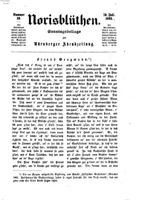 Norisblüthen (Nürnberger Abendzeitung) Sonntag 19. Juli 1863