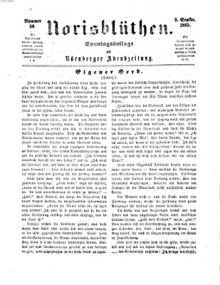 Norisblüthen (Nürnberger Abendzeitung) Sonntag 3. September 1865