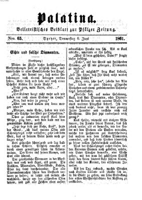 Palatina (Pfälzer Zeitung) Donnerstag 6. Juni 1861