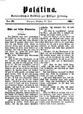 Palatina (Pfälzer Zeitung) Dienstag 11. Juni 1861