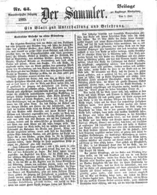 Der Sammler (Augsburger Abendzeitung) Donnerstag 1. Juni 1865