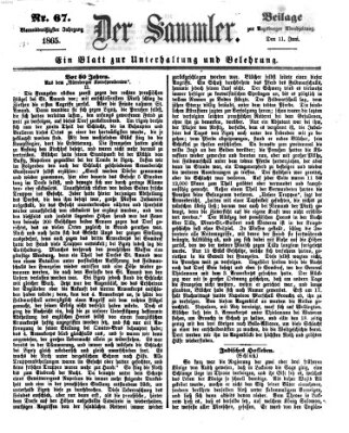 Der Sammler (Augsburger Abendzeitung) Sonntag 11. Juni 1865