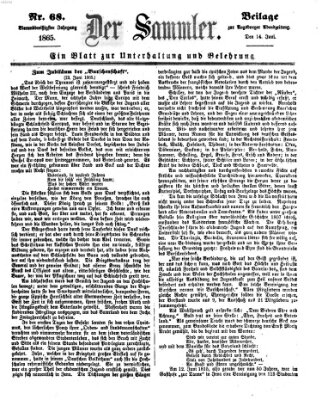 Der Sammler (Augsburger Abendzeitung) Mittwoch 14. Juni 1865