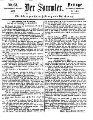 Der Sammler (Augsburger Abendzeitung) Dienstag 14. Juni 1870