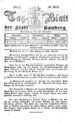 Tag-Blatt der Stadt Bamberg (Bamberger Tagblatt) Dienstag 13. November 1855