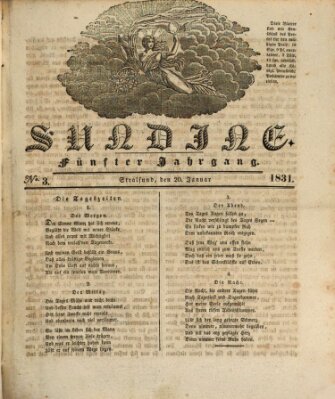 Sundine Donnerstag 20. Januar 1831