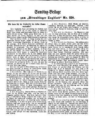 Straubinger Tagblatt Sonntag 3. November 1867