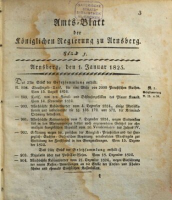 Amtsblatt für den Regierungsbezirk Arnsberg Samstag 1. Januar 1825