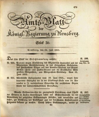 Amtsblatt für den Regierungsbezirk Arnsberg Samstag 23. Juli 1825