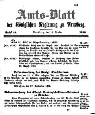 Amtsblatt für den Regierungsbezirk Arnsberg Samstag 11. Oktober 1856