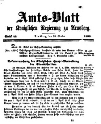 Amtsblatt für den Regierungsbezirk Arnsberg Samstag 18. Oktober 1856