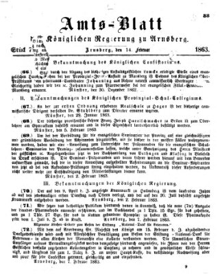 Amtsblatt für den Regierungsbezirk Arnsberg Samstag 14. Februar 1863