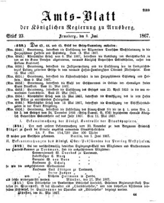 Amtsblatt für den Regierungsbezirk Arnsberg Samstag 8. Juni 1867