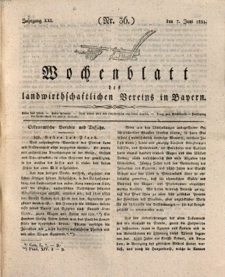 Wochenblatt des Landwirtschaftlichen Vereins in Bayern Dienstag 7. Juni 1831