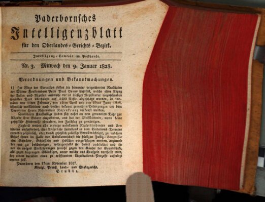 Paderbornsches Intelligenzblatt Mittwoch 9. Januar 1828