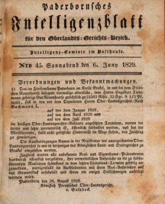 Paderbornsches Intelligenzblatt Samstag 6. Juni 1829