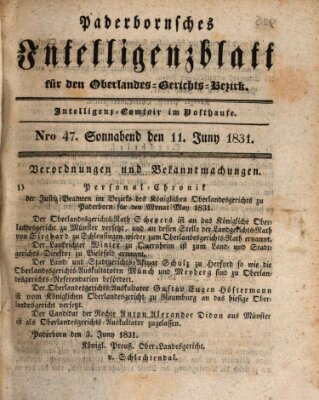 Paderbornsches Intelligenzblatt Samstag 11. Juni 1831