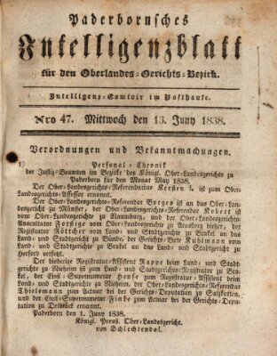 Paderbornsches Intelligenzblatt Mittwoch 13. Juni 1838