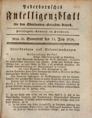 Paderbornsches Intelligenzblatt Samstag 14. Juli 1838