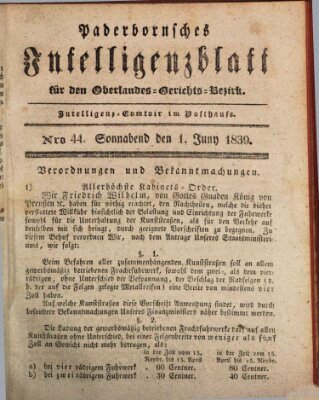 Paderbornsches Intelligenzblatt Samstag 1. Juni 1839