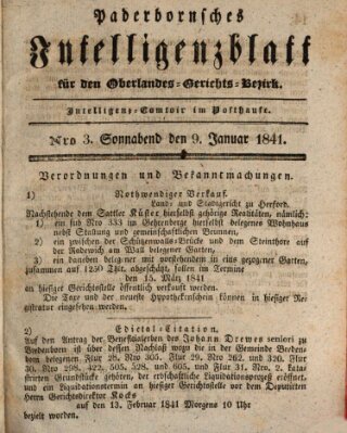 Paderbornsches Intelligenzblatt Samstag 9. Januar 1841