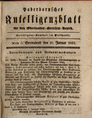 Paderbornsches Intelligenzblatt Samstag 16. Januar 1841