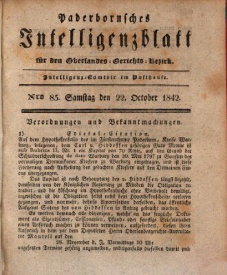 Paderbornsches Intelligenzblatt Samstag 22. Oktober 1842