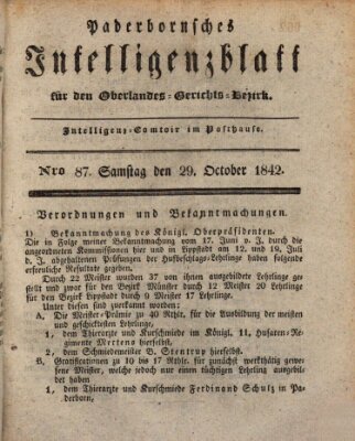 Paderbornsches Intelligenzblatt Samstag 29. Oktober 1842