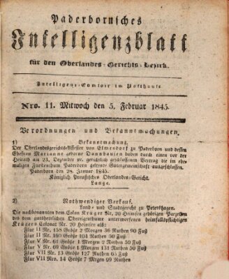 Paderbornsches Intelligenzblatt Mittwoch 5. Februar 1845