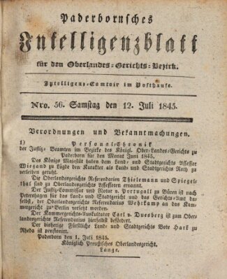 Paderbornsches Intelligenzblatt Samstag 12. Juli 1845