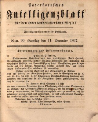 Paderbornsches Intelligenzblatt Samstag 11. Dezember 1847