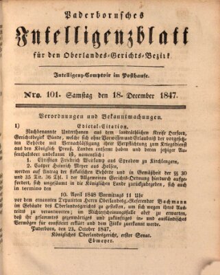 Paderbornsches Intelligenzblatt Samstag 18. Dezember 1847