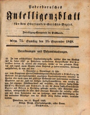 Paderbornsches Intelligenzblatt Samstag 16. September 1848