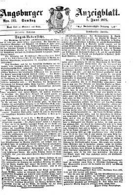 Augsburger Anzeigeblatt Samstag 7. Juni 1873