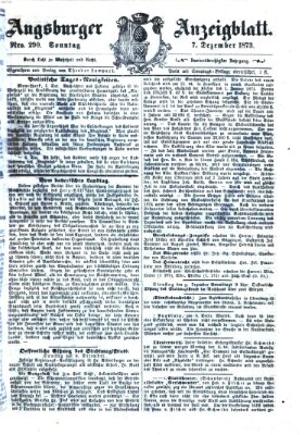 Augsburger Anzeigeblatt Sonntag 7. Dezember 1873