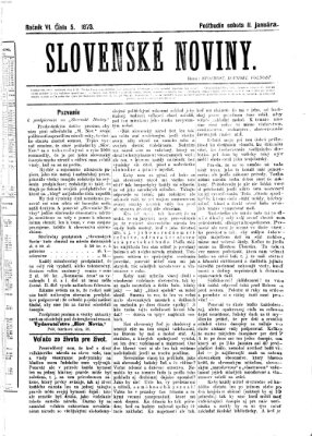 Slovenské noviny Samstag 11. Januar 1873