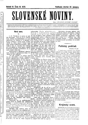 Slovenské noviny Donnerstag 30. Januar 1873