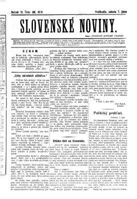 Slovenské noviny Samstag 7. Juni 1873