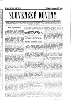 Slovenské noviny Montag 30. Juni 1873