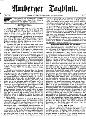 Amberger Tagblatt Dienstag 3. Juni 1873